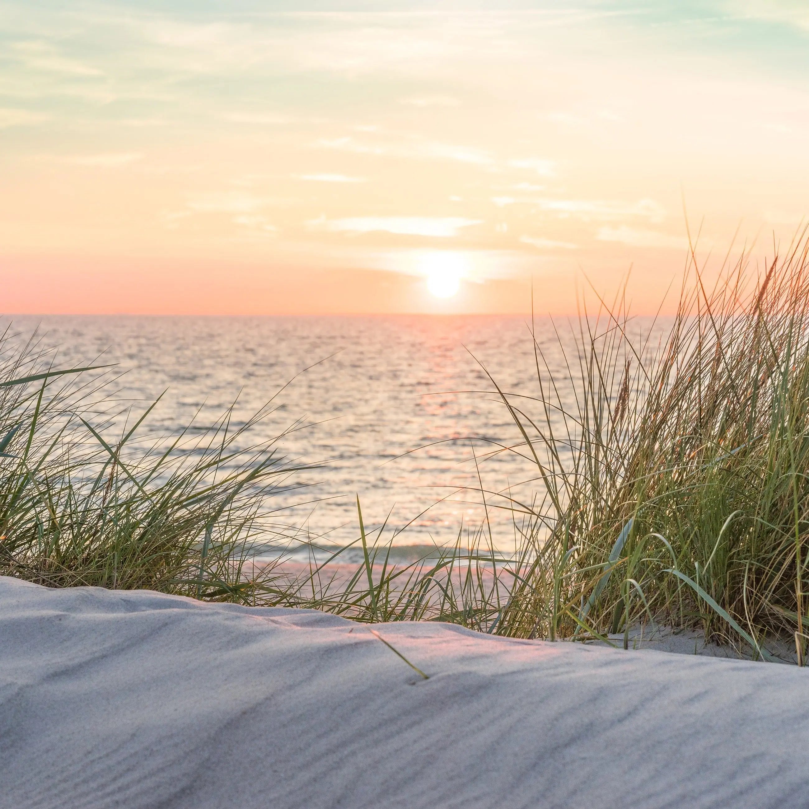 Billede 9 af Fototapet - Solnedgang over havet med klitter og marehalm