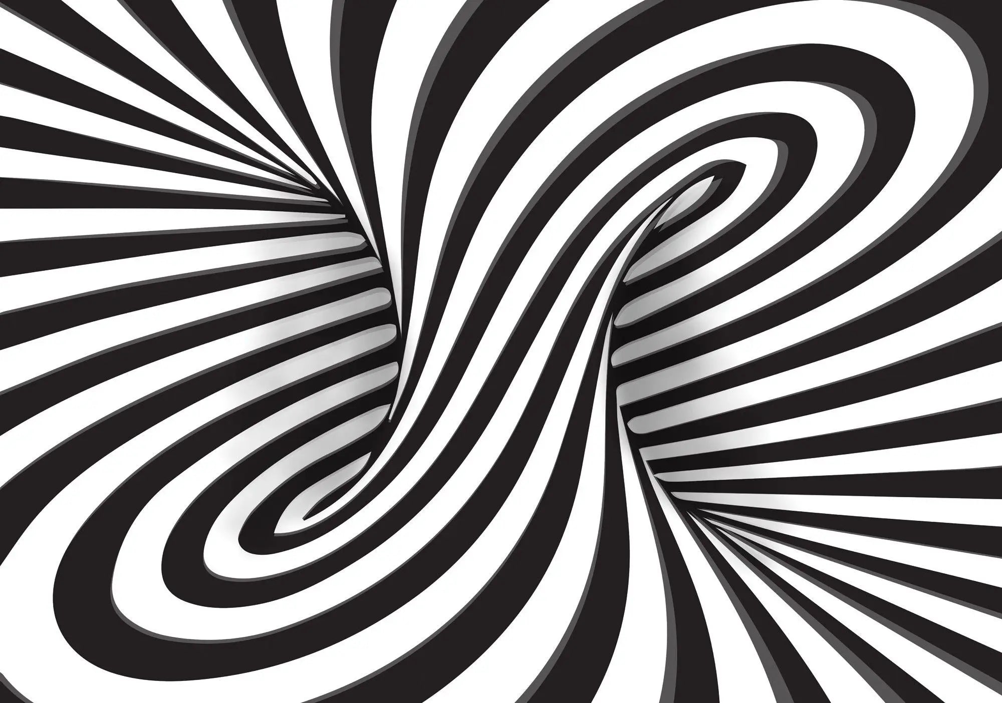 Billede 1 af Fototapet - Sort-hvide bølgede linjer i spiralform