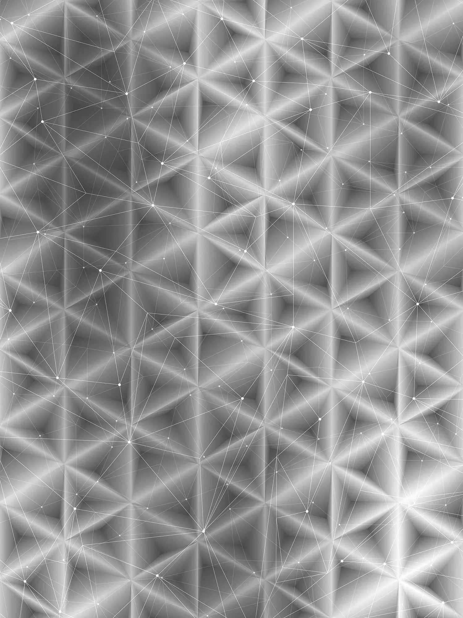 Billede 17 af Fototapet - Sort-hvidt geometrisk netværksmønster med trekantede former