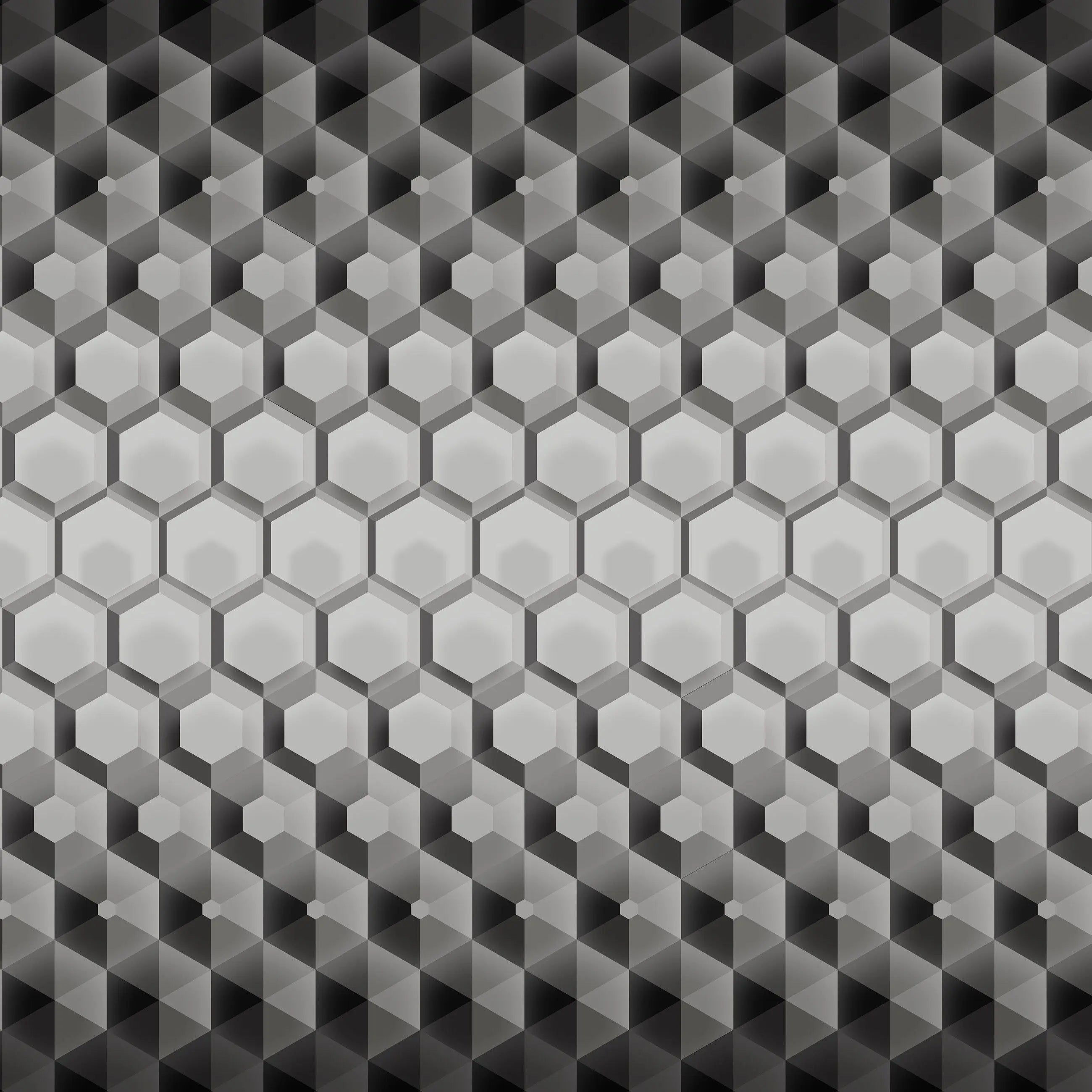 Billede 14 af Fototapet - Sort og hvidt hexagonalt 3D-mønster