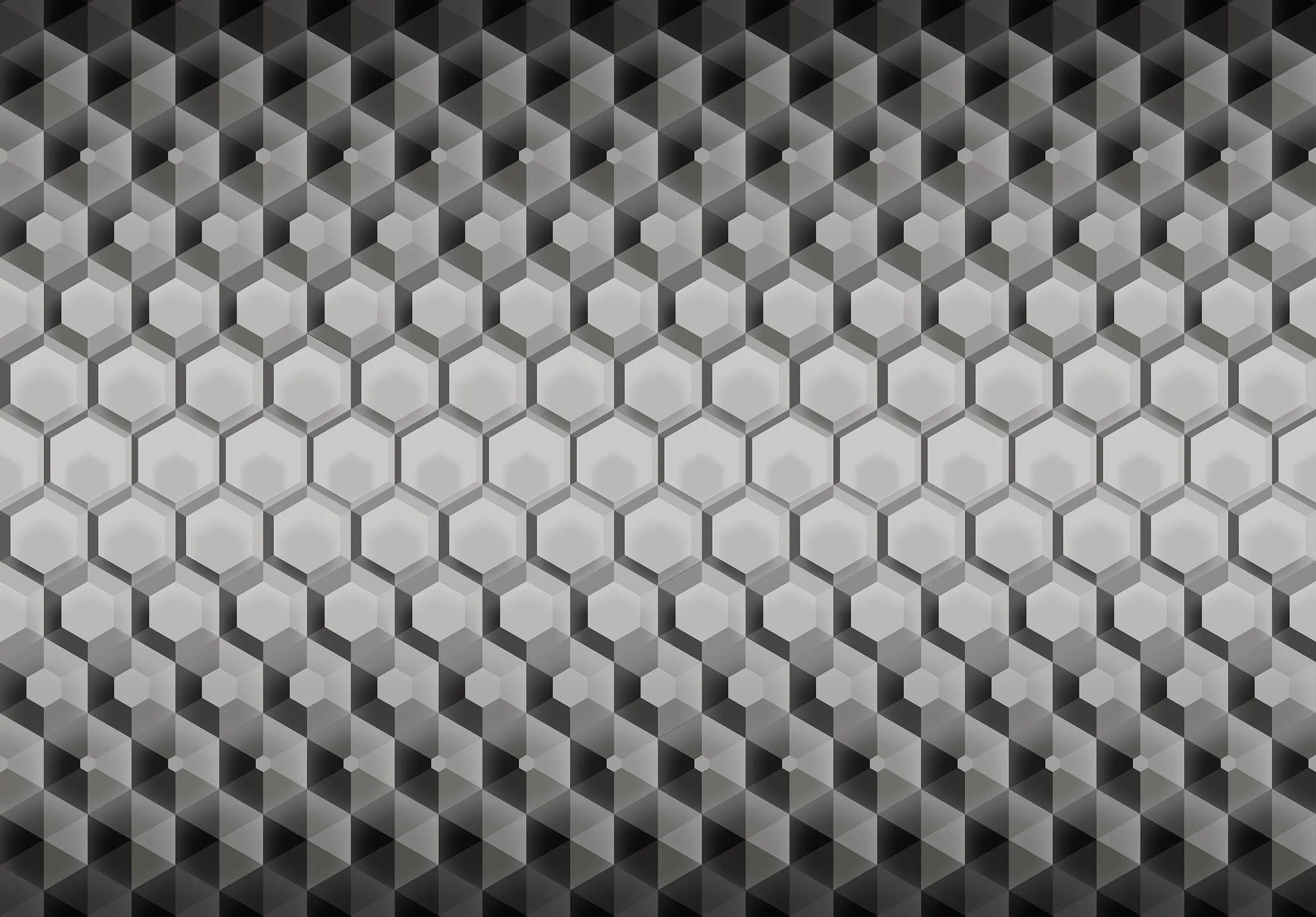 Billede 9 af Fototapet - Sort og hvidt hexagonalt 3D-mønster