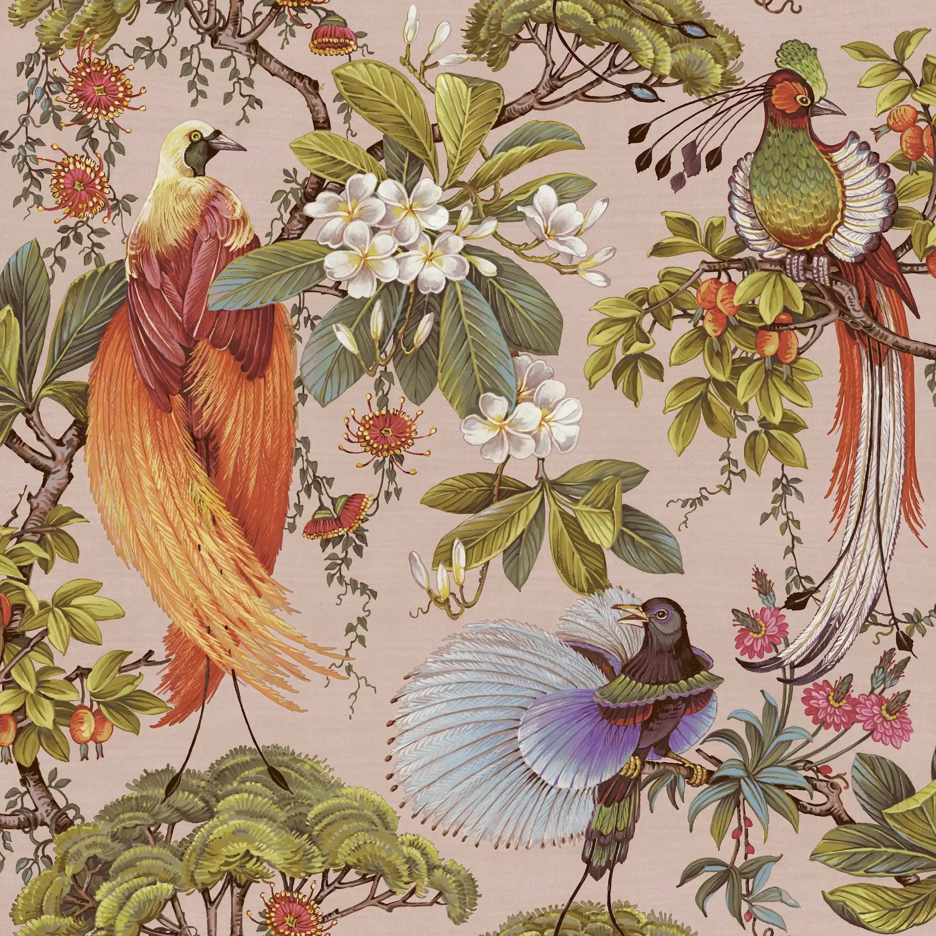 Detaljeret billede af Yasuni - Pink tapet med farverige fugle og blomster i et tropisk motiv fra Nicetapet.dk.