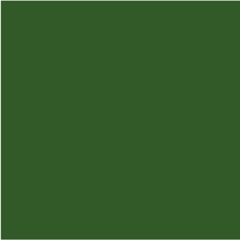 Mørk grøn Ral6002 Vandbaseret spraymaling 400ml. - Mørkegrøn